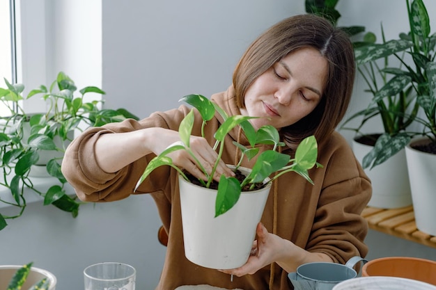 A young woman gardener holding a flowerpot with just potted houseplant ramming soil