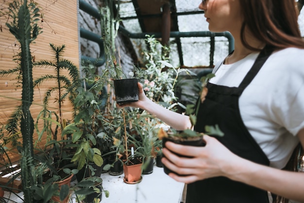 Young woman gardener holding pots with plants in greenhouse