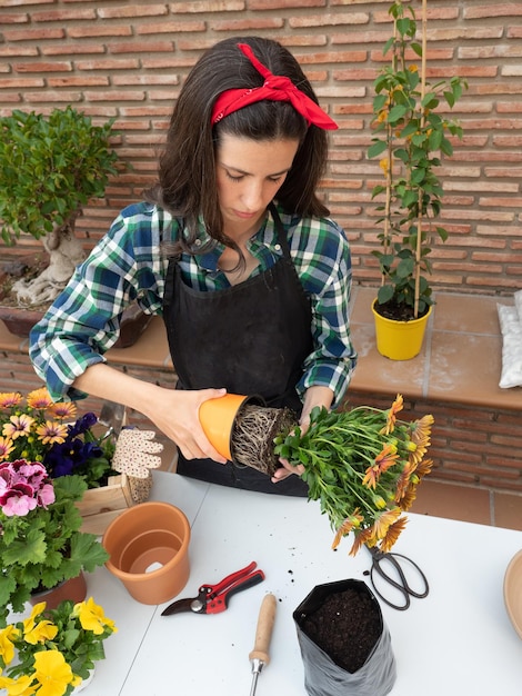 家でガーデニングをする若い女性が植物でポットを変える