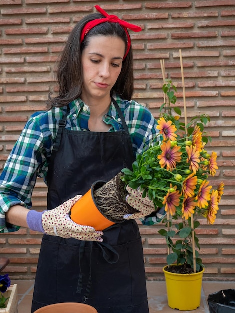 Young Woman Gardening At Home transplanting a pot with flowers