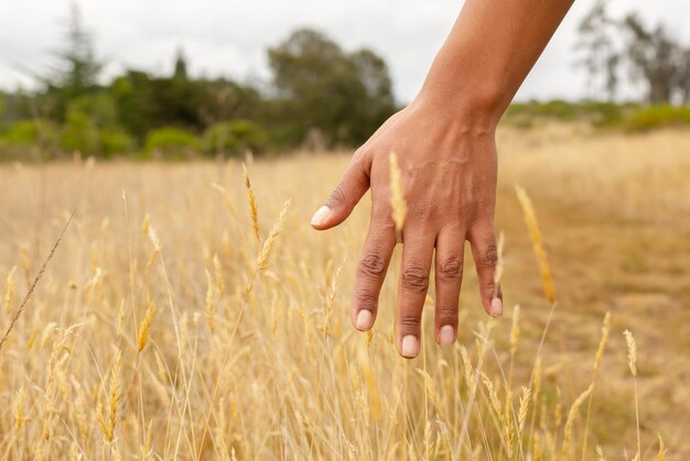 Young woman hand feels to the meadows Walking in field at morning among grass