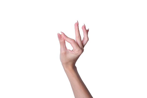 Young woman hand isolated on white background