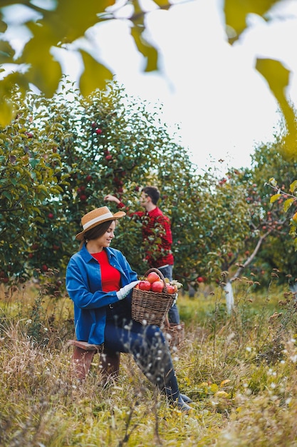 Una giovane donna con un cappello raccoglie succose mele rosse una donna tiene un cesto di vimini con mele un frutteto di mele