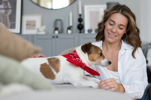 若い女性と自宅のソファで彼女の犬。愛らしいペット。家畜