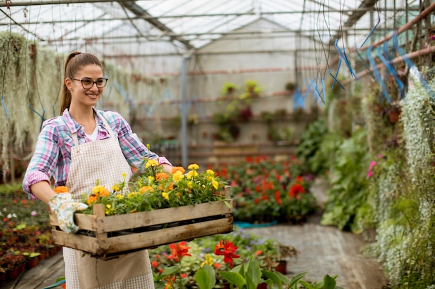 温室の春の花でいっぱいの木箱を保持している若い女性