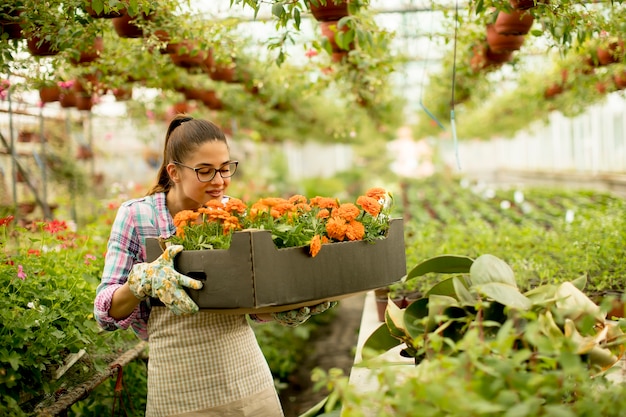 温室に春の花がいっぱいの箱を持っている若い女性