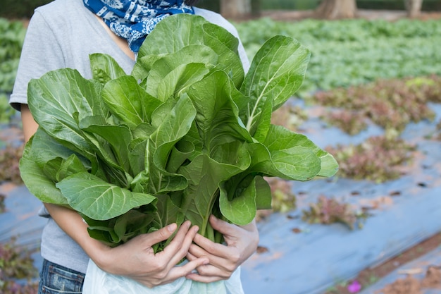 彼女の庭で新しく収穫された野菜を保持している若い女性