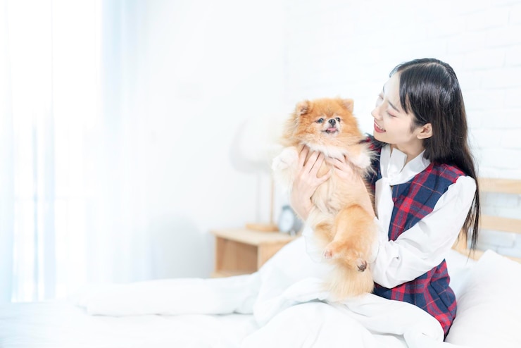 Photo 家でベッドにポメラニアンを抱いた若い女性