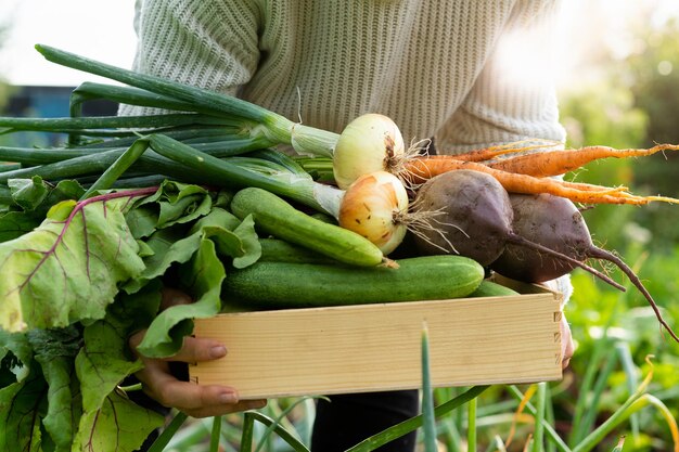 A young woman holding a wooden box of vegetables gardening harvesting by a farmer