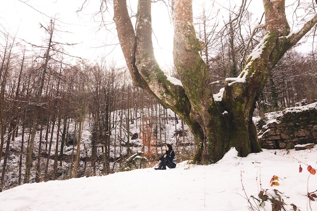 Foto giovane donna sotto un enorme faggio nella foresta dei paesi baschi.