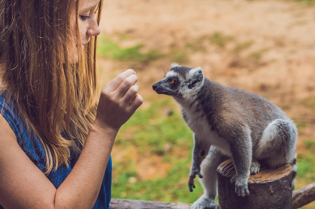 Foto la giovane donna viene nutrita con lemure dalla coda ad anelli - lemur catta. bellezza in natura. concetto di fattoria didattica
