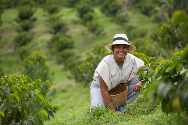 Photo young woman picking up coffee beans in colombia