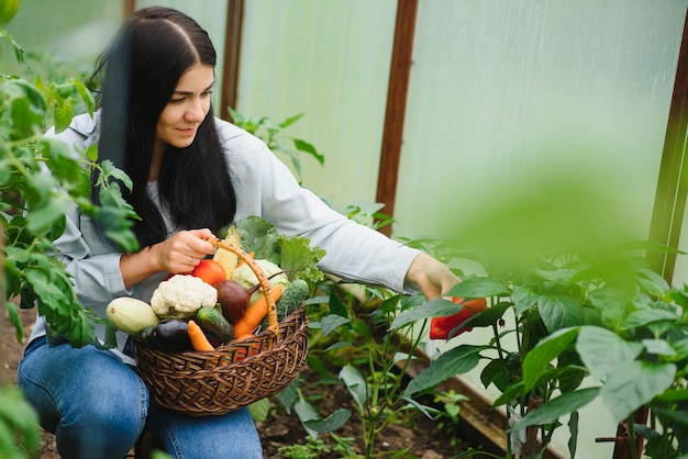 Foto giovane donna che raccoglie le verdure dalla serra