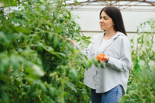 温室から野菜を選ぶ若い女性