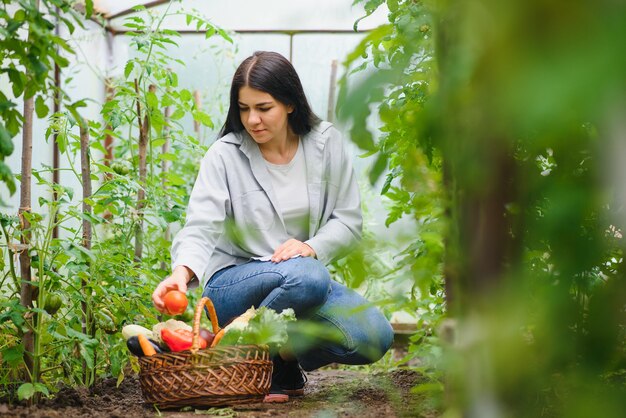 温室から野菜を選ぶ若い女性