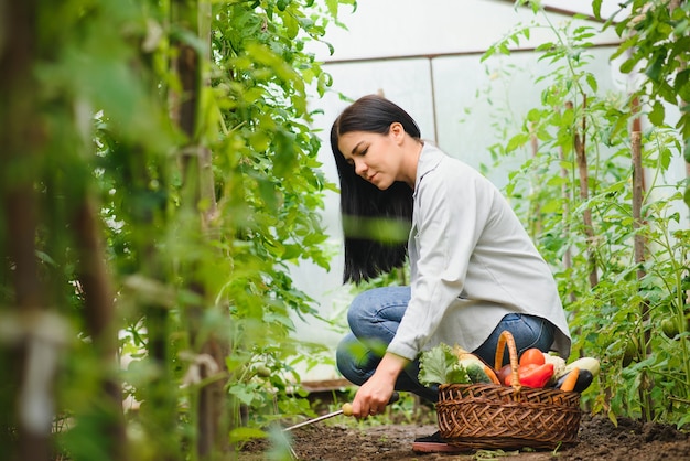 温室から野菜を選ぶ若い女性