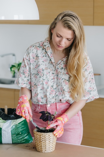 Young woman in pink gloves pours earth and transplant home flowers into new wicker beautiful pots.