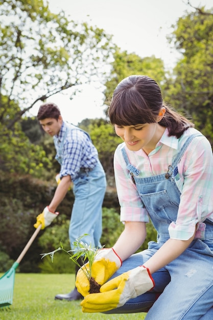 Foto giovane donna che pianta un alberello nell'erba di pulizia dell'uomo e del giardino