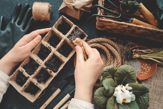 Young woman planting seeds at home