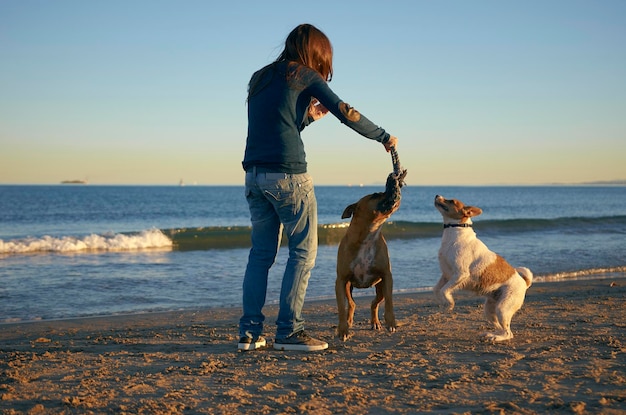 夕暮れのビーチで犬と遊ぶ若い女性