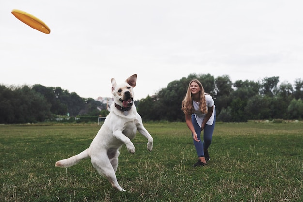 公園で彼女のラブラドールと遊ぶ若い女性。彼女は黄色のフリスビーディスクを投げます。犬が捕まえようとする