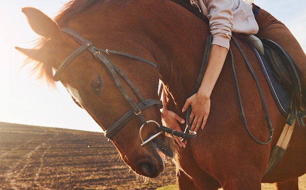 Young woman in protective hat with her horse in agriculture field at sunny daytime
