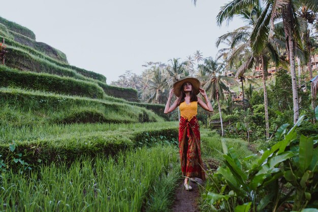 Photo young woman at rice terrace