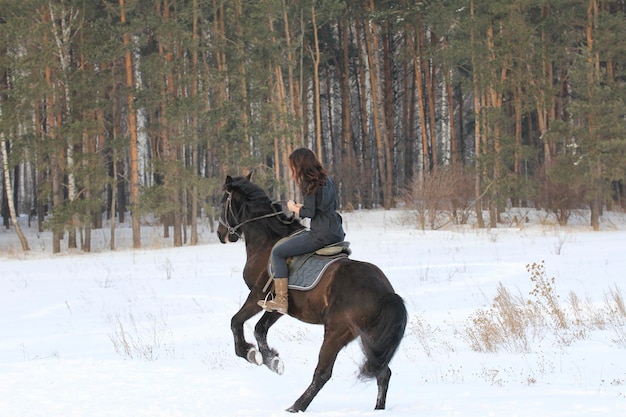 雪の田園地帯で黒い馬に乗って若い女性、望遠ショット