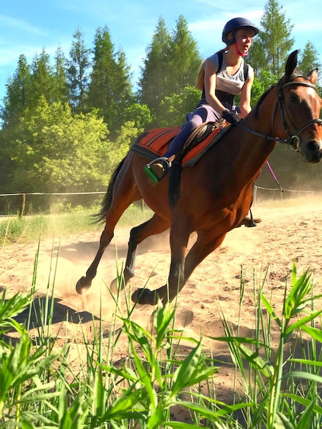 Young woman riding horse on field