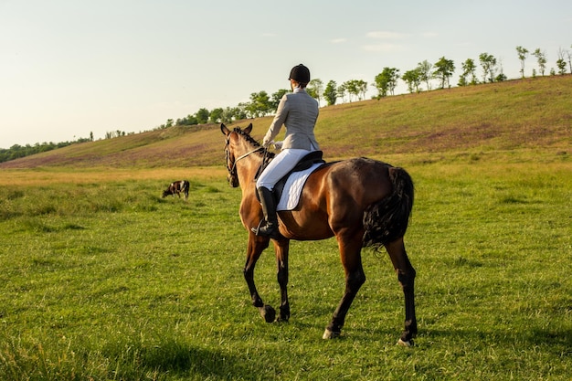 緑の野原で馬に乗る若い女性。乗馬。コンペ。趣味