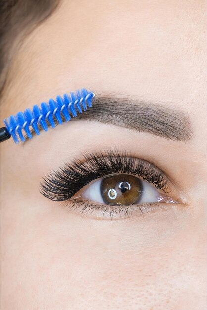 Young woman shaping eyebrows with brush, close up