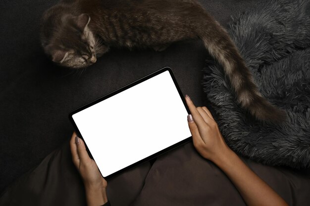 猫と一緒にベッドに座って、デジタルタブレットを使用して若い女性