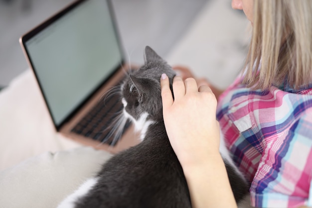 ラップトップに座って猫のクローズ アップをなでる若い女性