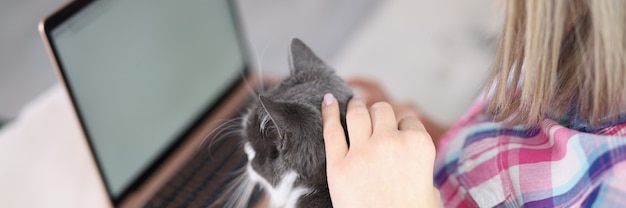 Young woman sitting at laptop and stroking cat closeup