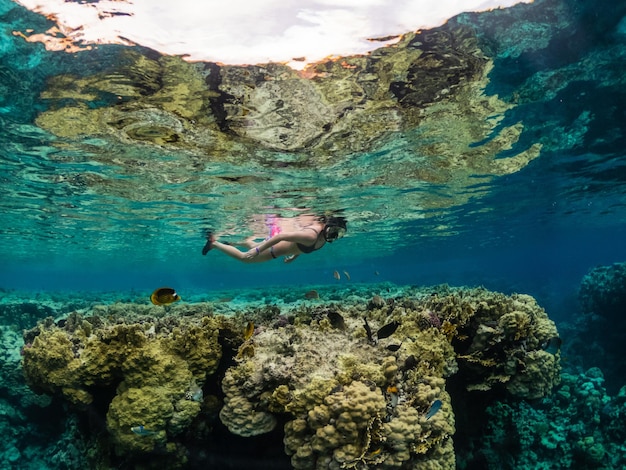 열대 바다의 산호초에서 스노클링하는 젊은 여성