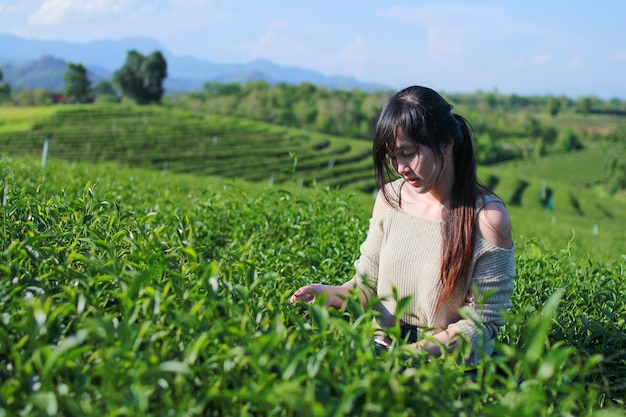 空と山の景色に囲まれた茶畑に若い女性が立っています。タイ、チェンライのチュイホン茶畑。