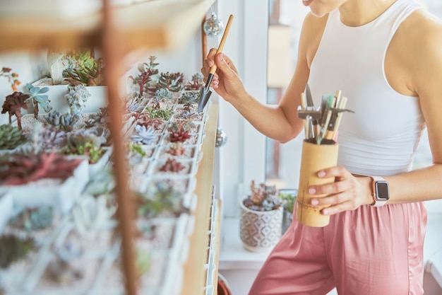 若い女性は、明るい部屋のラックのそばに立っている美しい観葉植物の世話をします