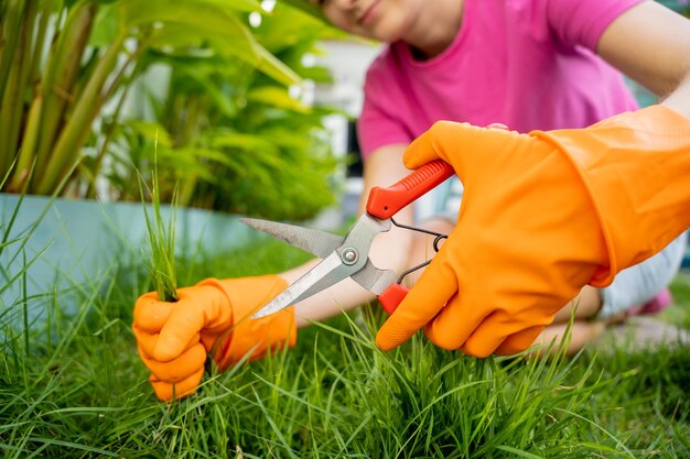 Una giovane donna si prende cura del giardino e taglia l'erba