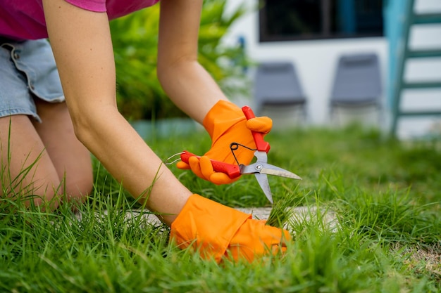 A young woman takes care of the garden and cutting grass