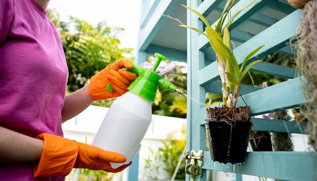 A young woman takes care of the garden waters fertilizes and prunes plants