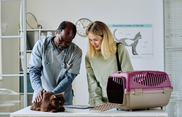 Photo young woman talking to vet doctor while he examining her cat on table at clinic