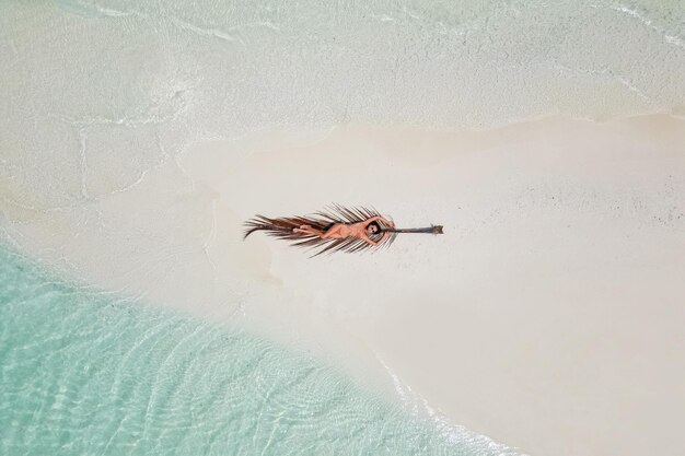 Молодая женщина загорает на пальмовом листе женщина в бикини на пляже на белом песке сверху вид с дрона