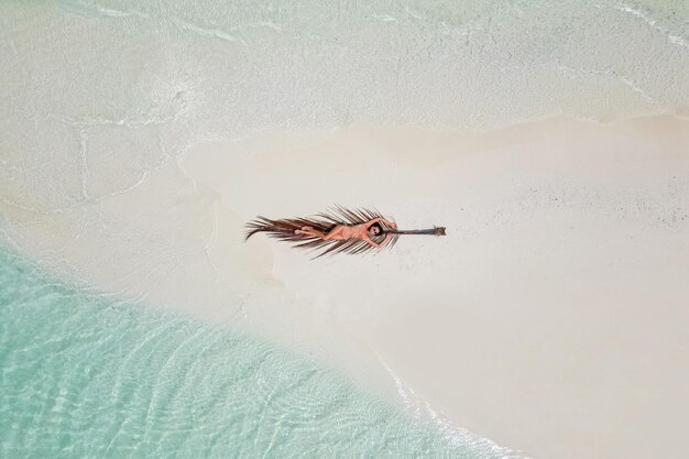 Young woman tanning sunbathing on palm tree leaf woman wearing bikini at the beach on a white sand from above view from drone