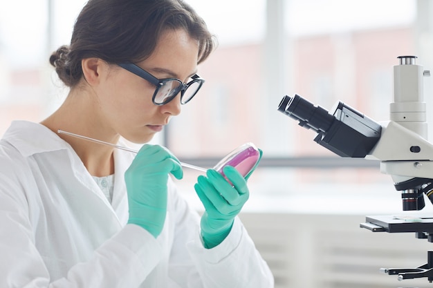 Young Woman Testing Bacterial Sample