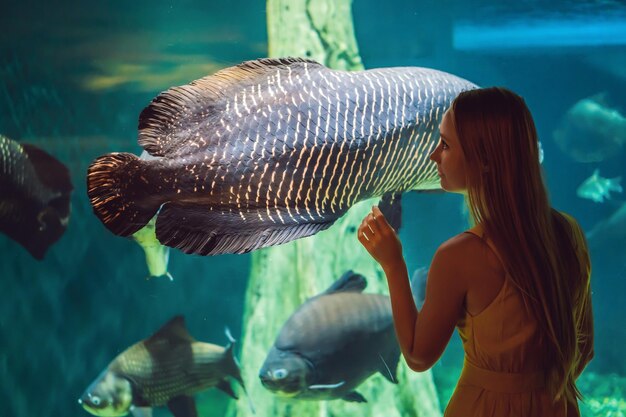 若い女性が海洋水族館のトンネルでアカエイの魚に触れる