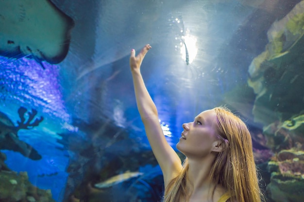 若い女性が海洋水族館のトンネルでアカエイの魚に触れる