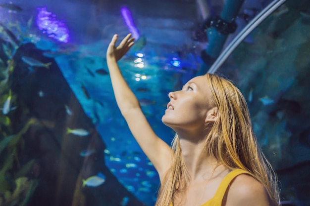 若い女性が海洋水族館のトンネルでアカエイの魚に触れる