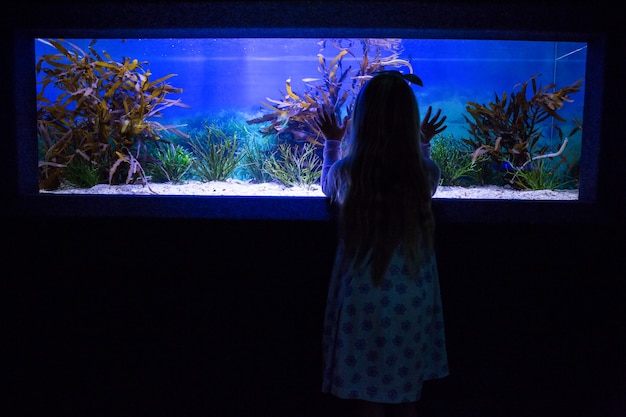 Young woman touching a fish-tank 