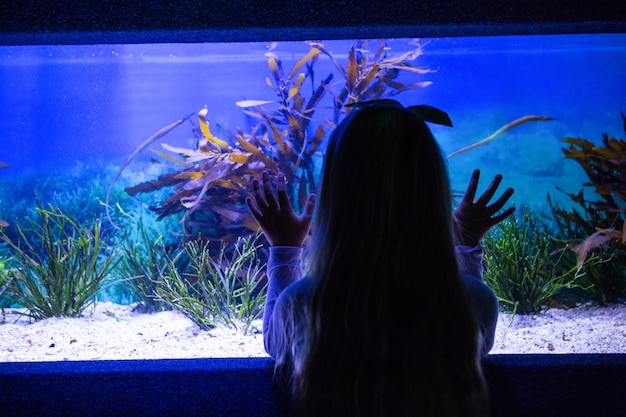 Young woman touching a fish-tank 