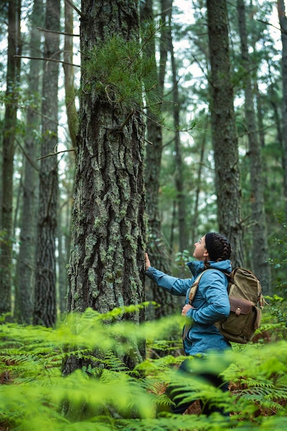 Young woman touching and observing the trunk of a pine tree